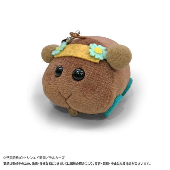 PUI PUI モルカー まめころりん チョコ | シンエイ ONLINE STORE